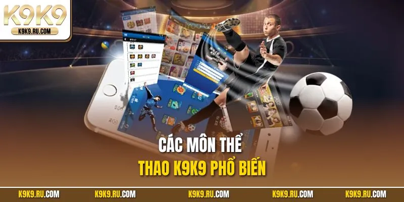 Các môn thể thao K9K9 phổ biến