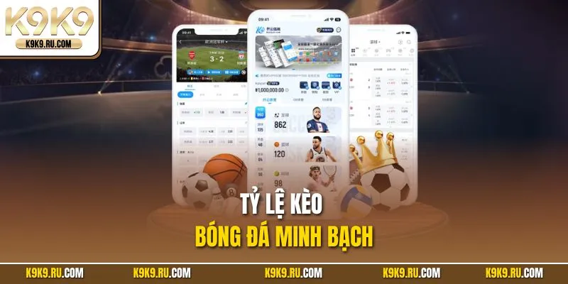 Tỷ lệ kèo bóng đá minh bạch
