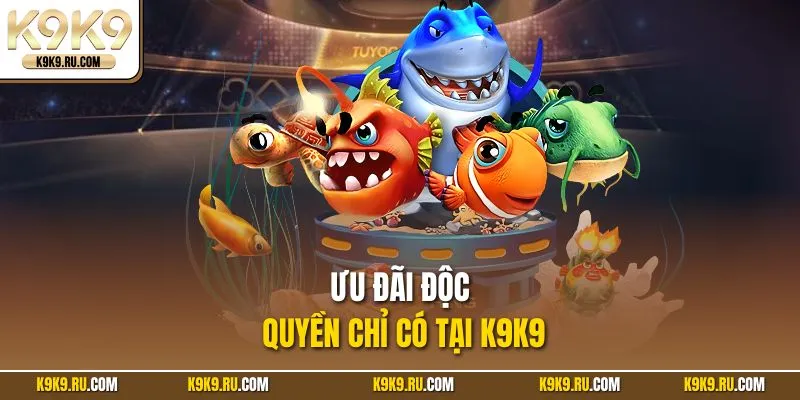 Ưu đãi độc quyền chỉ có tại nhà cái uy tín K9K9