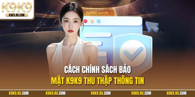 Cách chính sách bảo mật K9K9 thu thập thông tin 